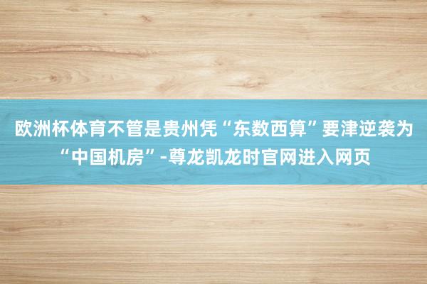 欧洲杯体育不管是贵州凭“东数西算”要津逆袭为“中国机房”-尊龙凯龙时官网进入网页