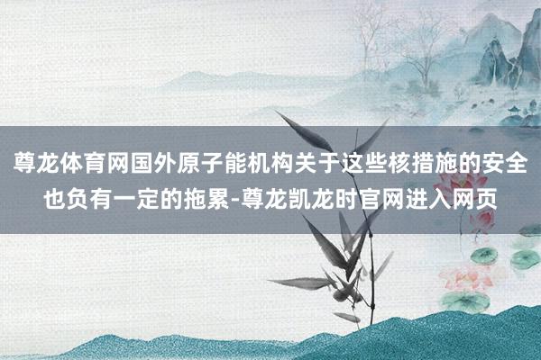 尊龙体育网国外原子能机构关于这些核措施的安全也负有一定的拖累-尊龙凯龙时官网进入网页