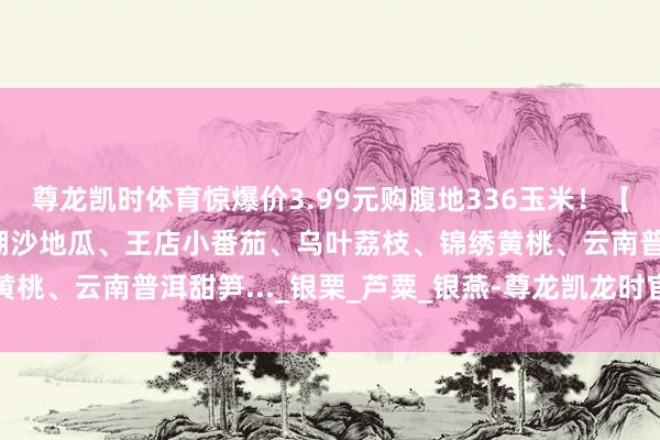 尊龙凯时体育惊爆价3.99元购腹地336玉米！【7.10周四提货】南北湖沙地瓜、王店小番茄、乌叶荔枝、锦绣黄桃、云南普洱甜笋..._银栗_芦粟_银燕-尊龙凯龙时官网进入网页
