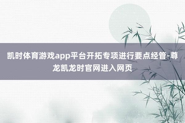 凯时体育游戏app平台开拓专项进行要点经管-尊龙凯龙时官网进入网页