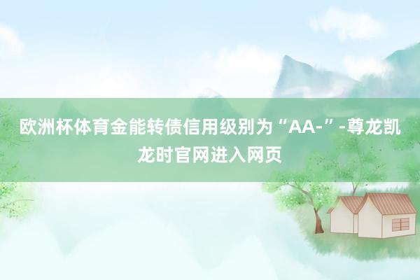 欧洲杯体育金能转债信用级别为“AA-”-尊龙凯龙时官网进入网页