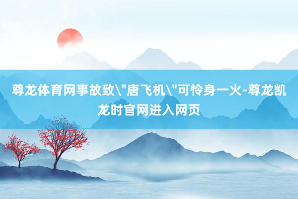 尊龙体育网事故致