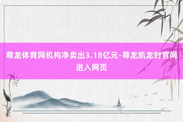 尊龙体育网机构净卖出3.18亿元-尊龙凯龙时官网进入网页