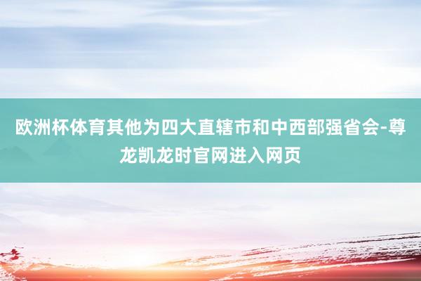欧洲杯体育其他为四大直辖市和中西部强省会-尊龙凯龙时官网进入网页